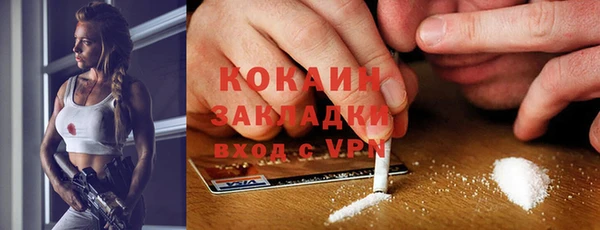 шишки Лихославль