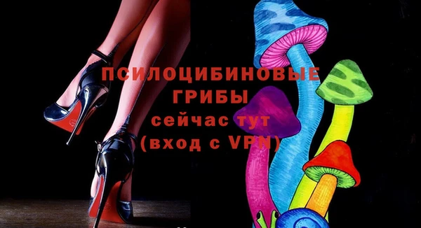 шишки Лихославль