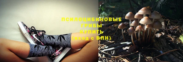 метадон Магас