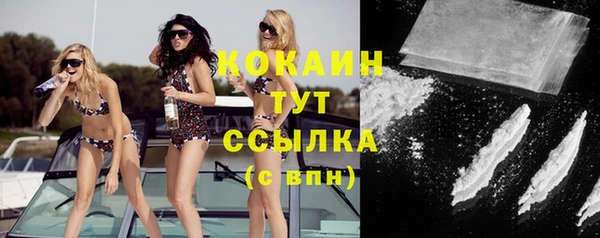 шишки Лихославль