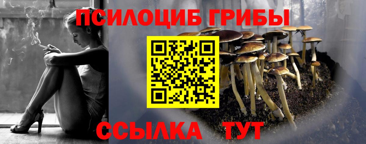 Псилоцибиновые грибы Magic Shrooms  Галлюциногенные грибы Psilocybine cubensis  Хабаровск  Вход с VPN 